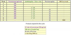 Proviron Steroid Cycle