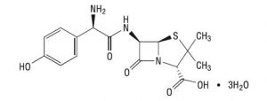 augmentin-1